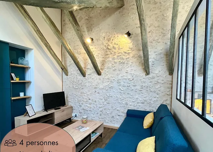 Entre Charme & Authenticite En Hypercentre De Blois