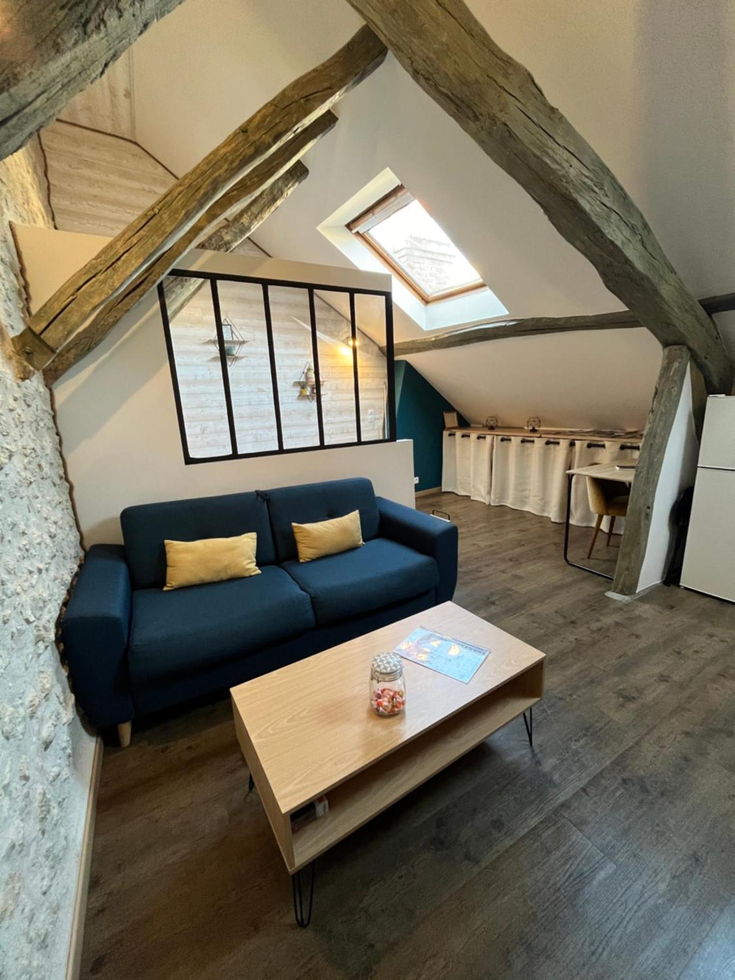 Entre Charme & Authenticite En Hypercentre De Apartment Blois